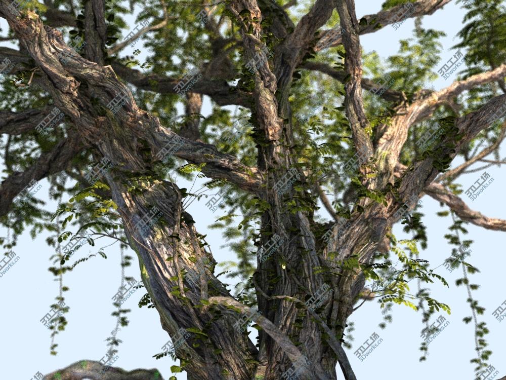 images/goods_img/2021040232/Forest Pack Animated 20 3D model/5.jpg